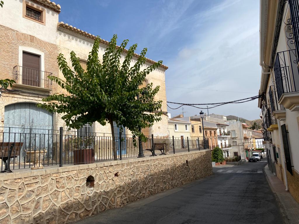 Town house in Oria