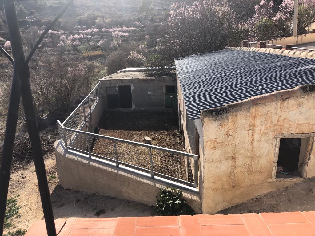 Large renovated country house with land in Vélez-Blanco