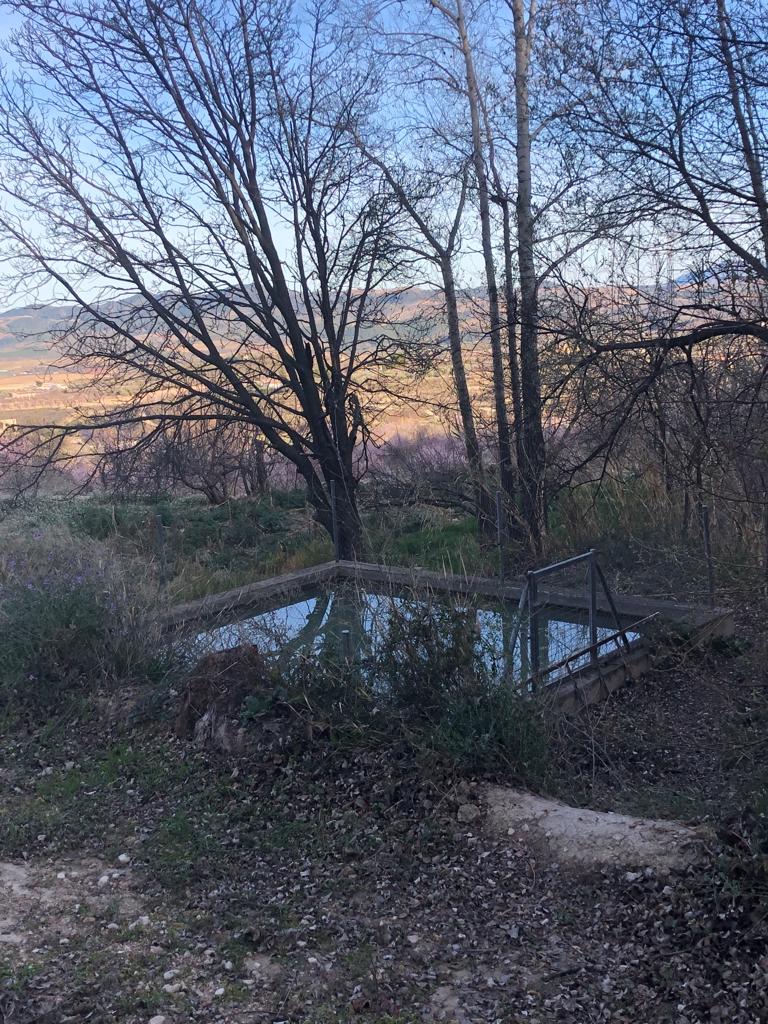 Large renovated country house with land in Vélez-Blanco