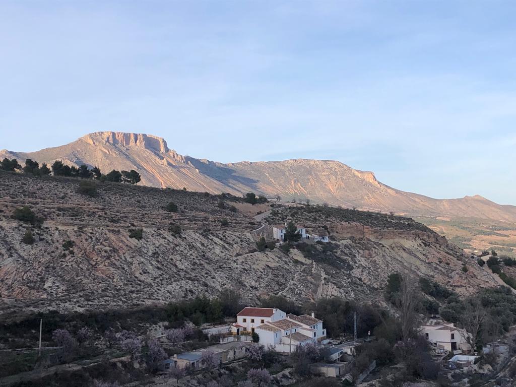 Large renovated country house with land in Vélez-Blanco