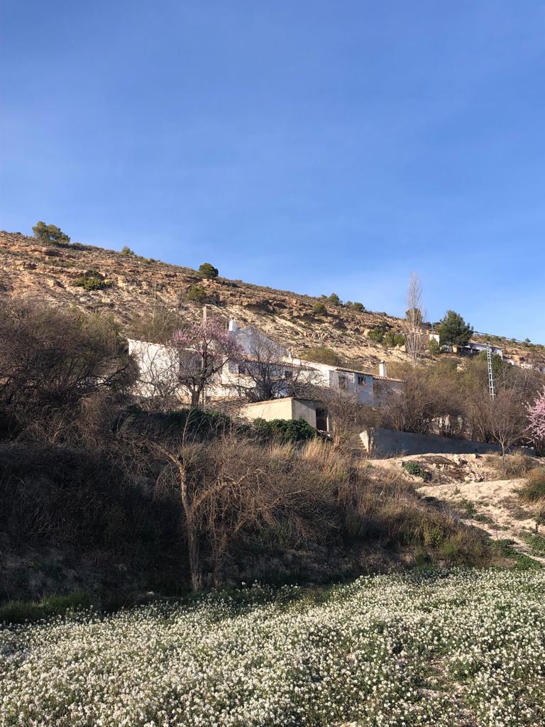 Large renovated country house with land in Vélez-Blanco