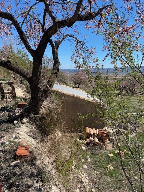 Large 6 Bed, 2 Bath reformed country house with a working flour mill, land and outbuildings in Velez-Blanco