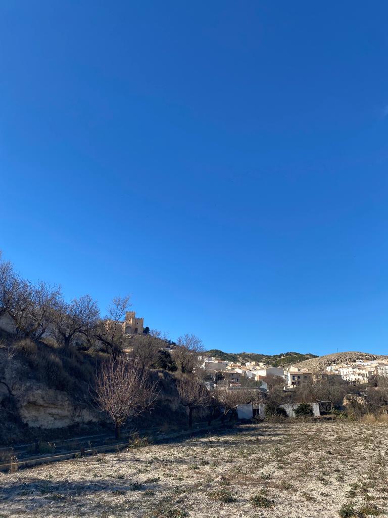 Rustic Cortijo 6 Bed,2Bath with views and land in Velez-Blanco