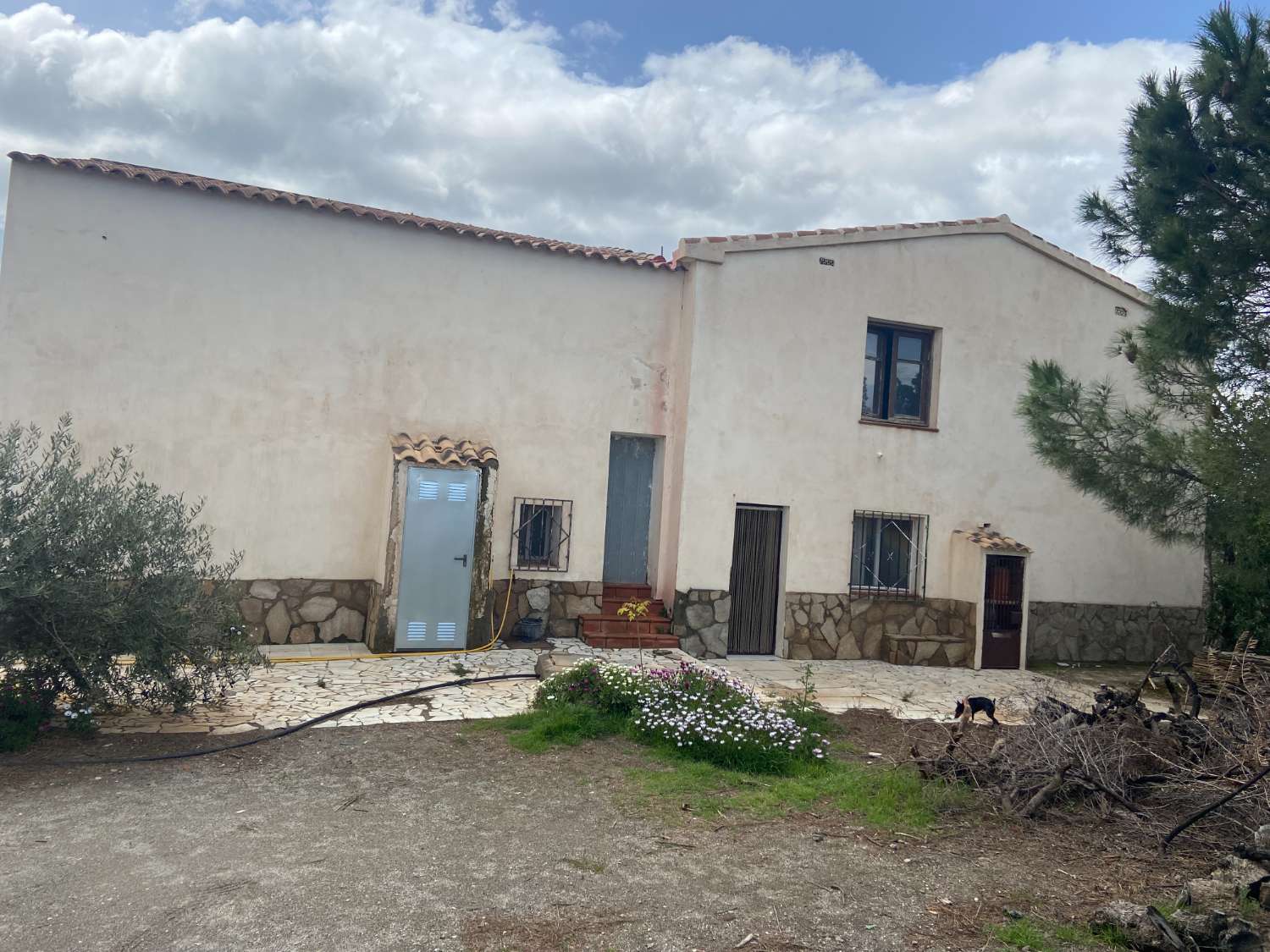 Fully renovated 5 Bed 1 Bath Farmhouse with irrigated land in Taberno