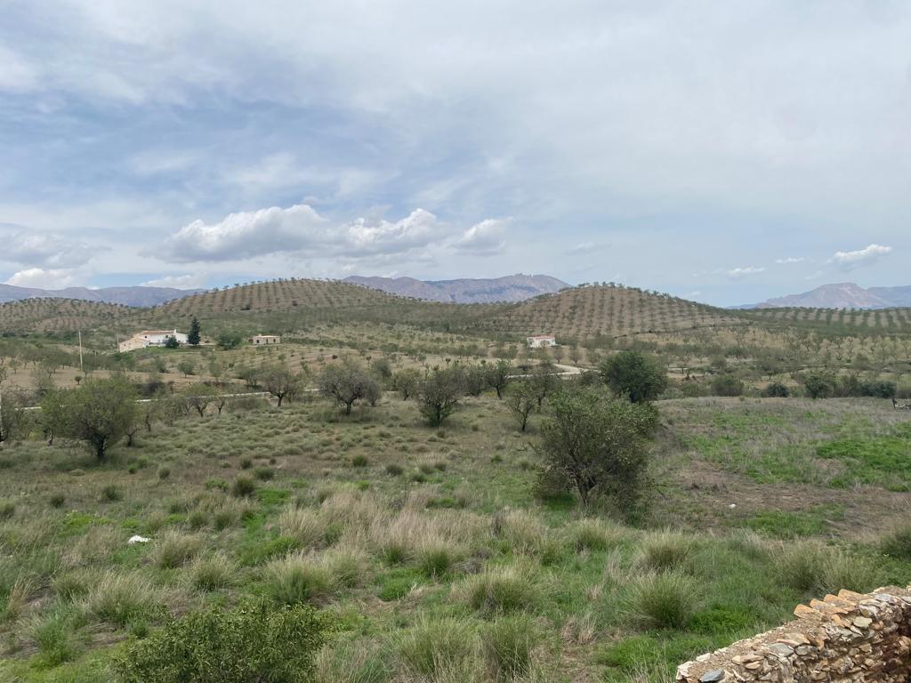 Reformed 2 Bed ,1 Bath Village House in Velez- Rubio