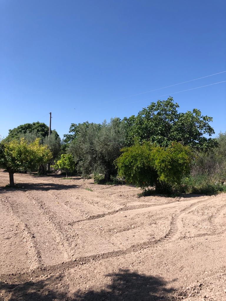 3 Bed House in Velez-Blanco with Land