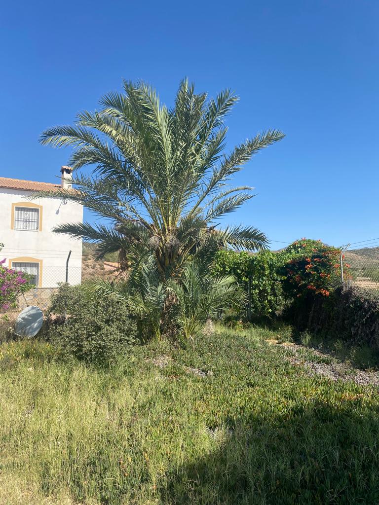 Large farm composed of three houses in Saliente Bajo