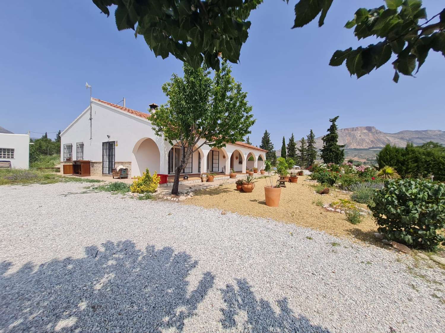 Belle villa de 4 chambres et 3 salles de bain avec piscine dans un cadre charmant près de Vélez Blanco