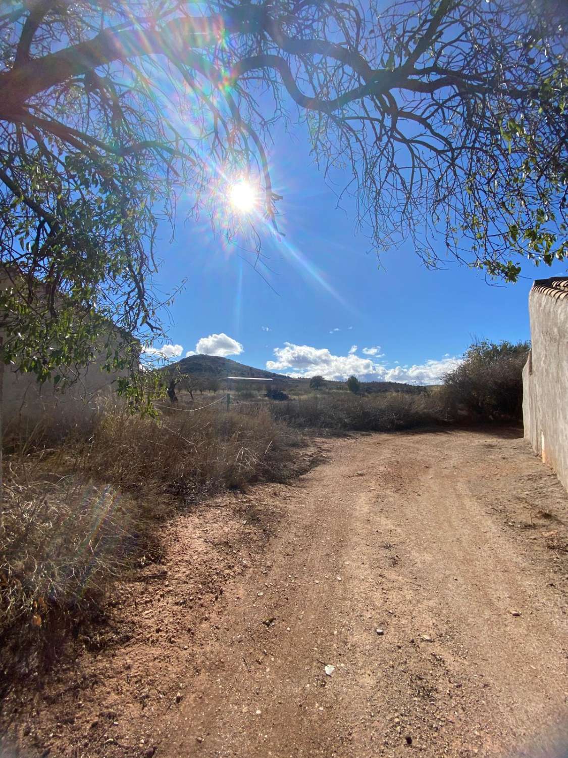 3 chambres, 1 salle de bain, maison à Chirivel à rénover