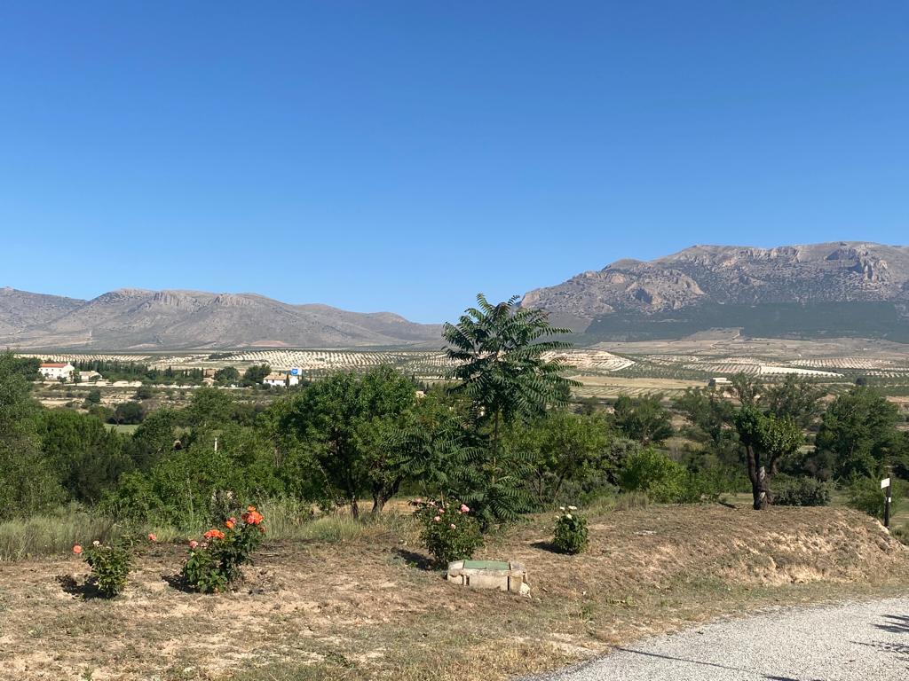 3 chambres, 1 salle de bain, maison à Chirivel à rénover