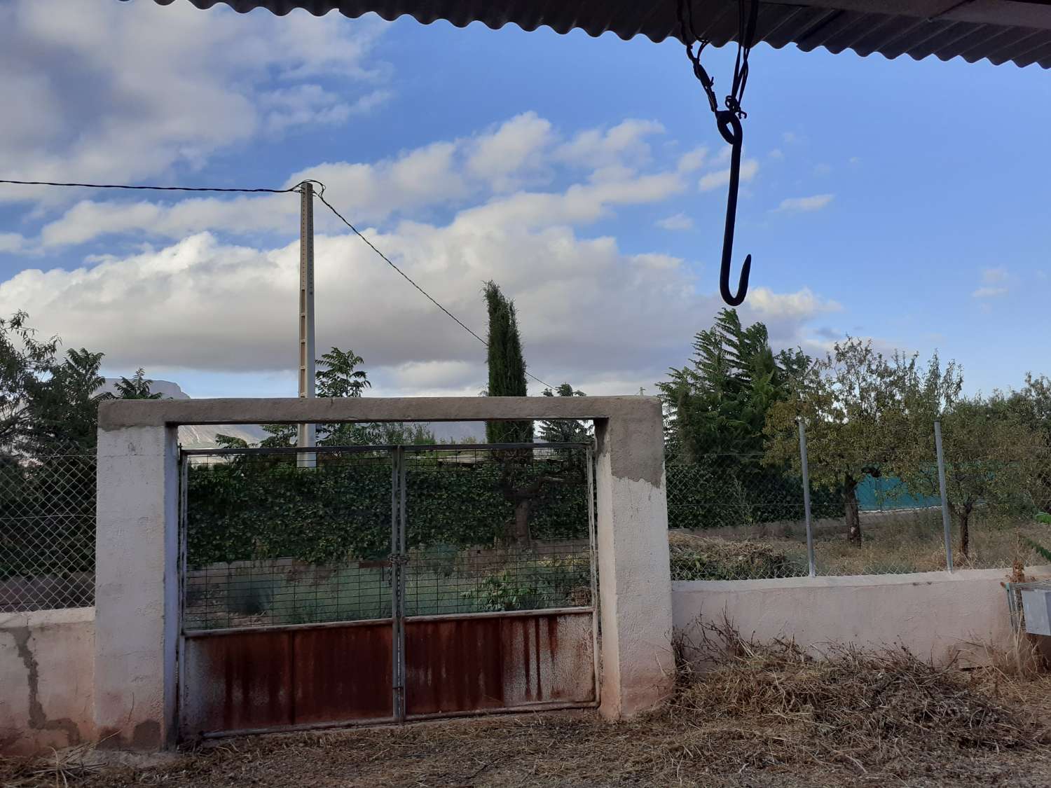 Farm with attached house, independent warehouse, pool and 27,000m2 of land