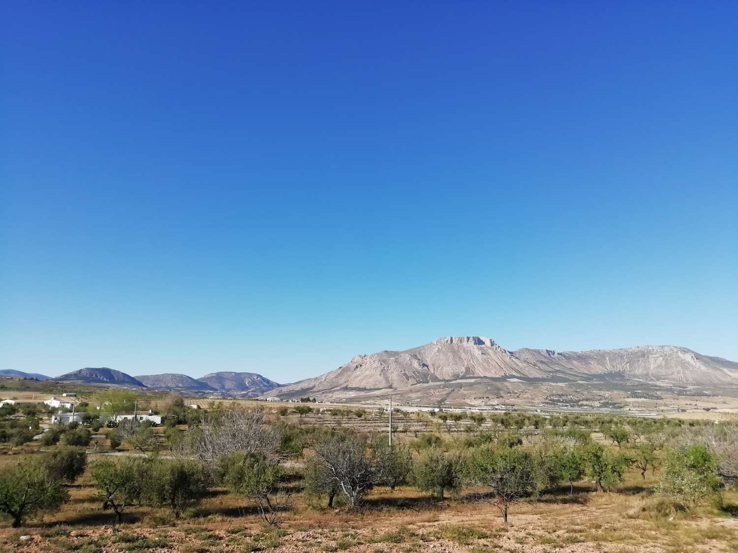Farm with attached house, independent warehouse, pool and 27,000m2 of land