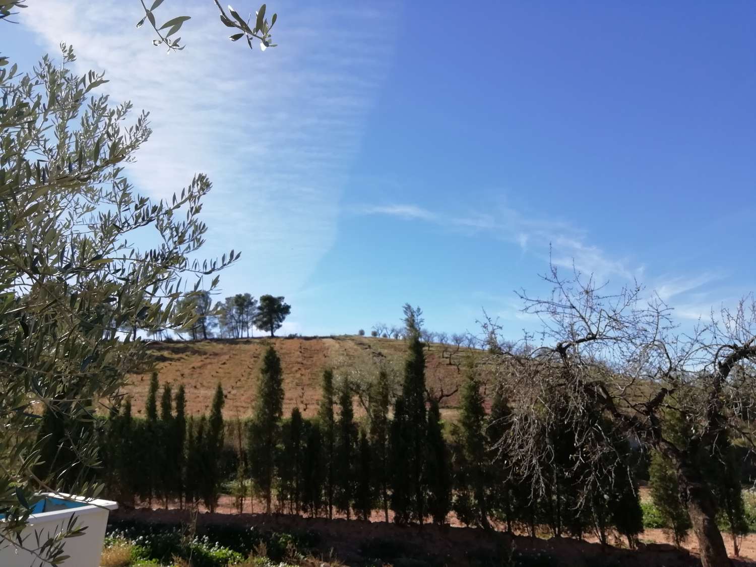 Farm with attached house, independent warehouse, pool and 27,000m2 of land