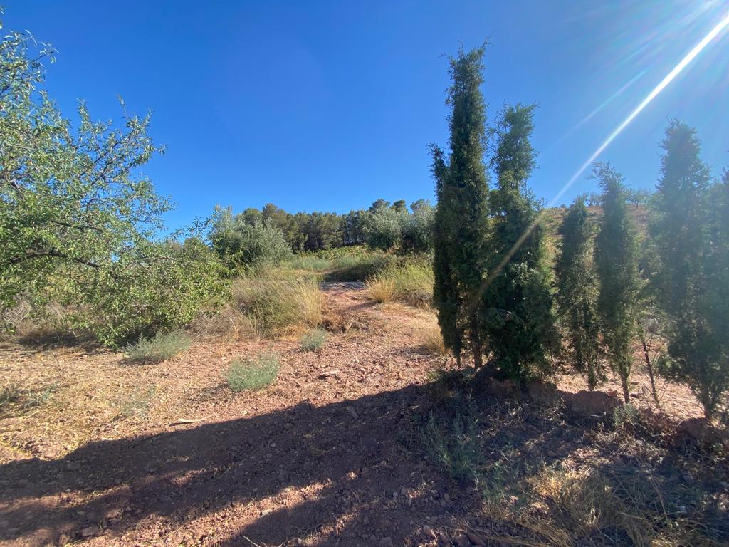 Farm with attached house, independent warehouse, pool and 27,000m2 of land