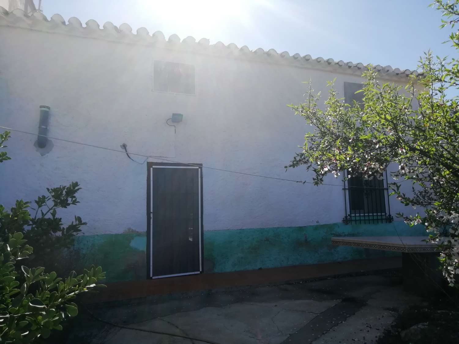 Farm with attached house, independent warehouse, pool and 27,000m2 of land