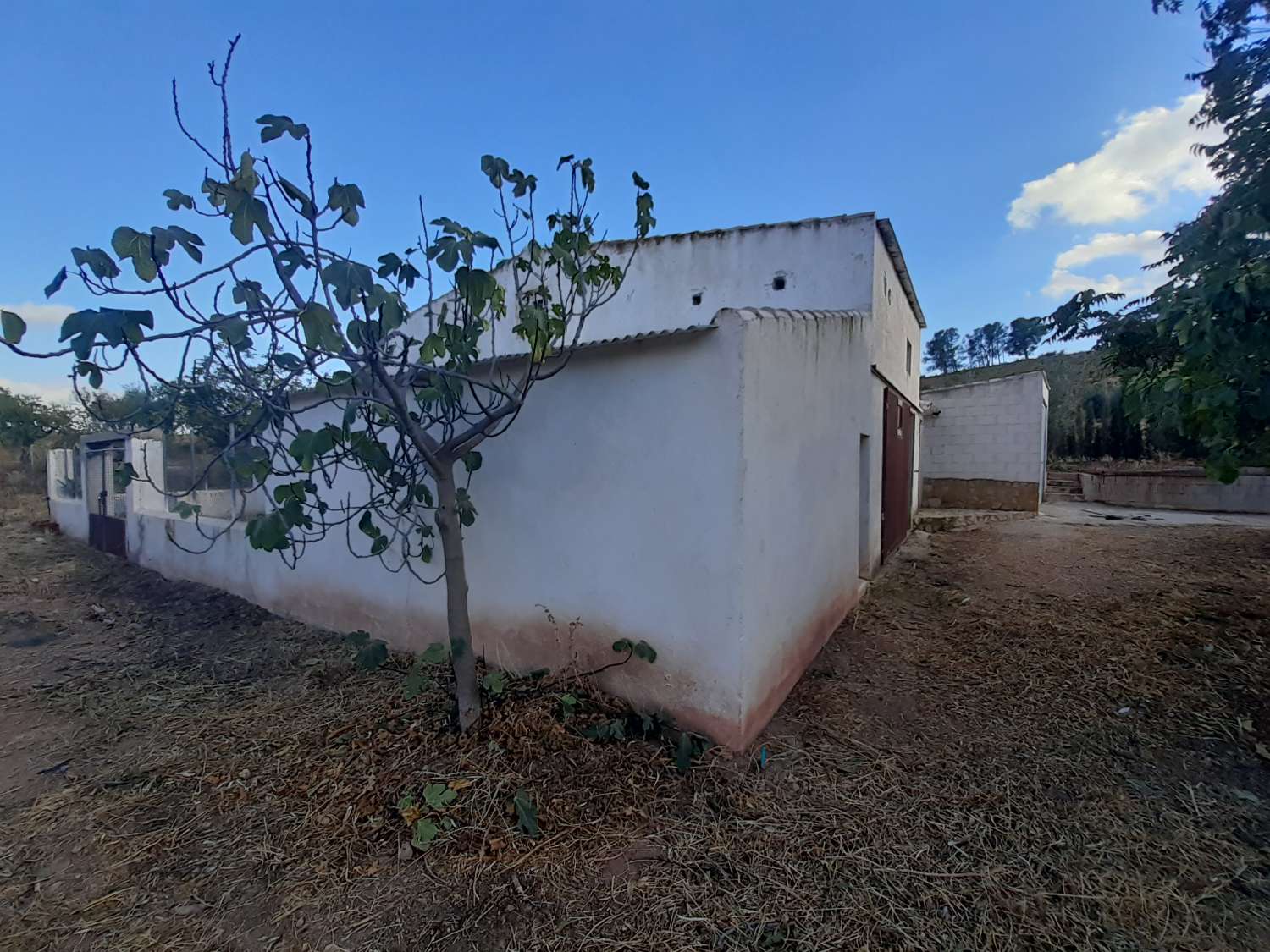 Farm with attached house, independent warehouse, pool and 27,000m2 of land