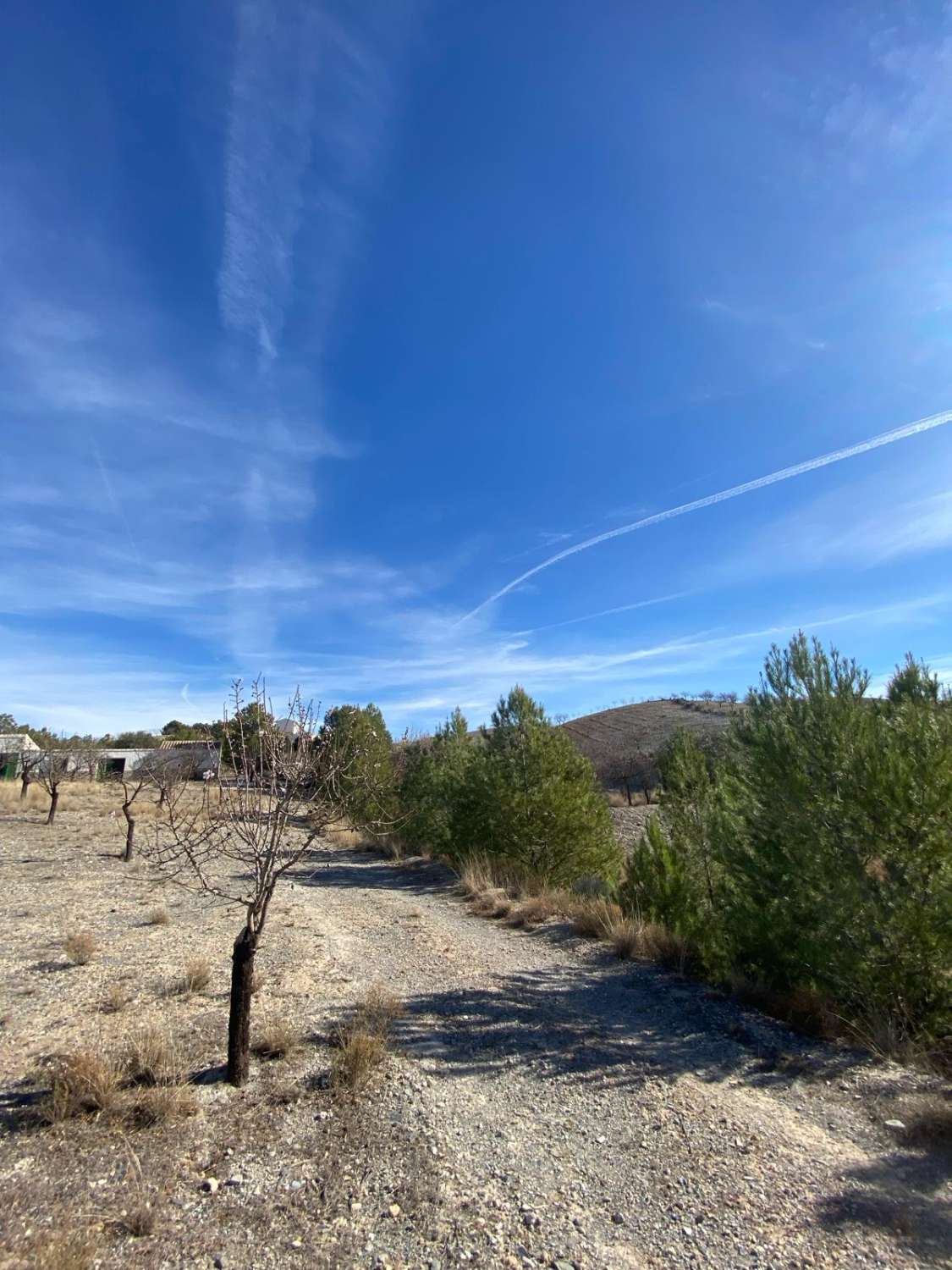 Haus und Grundstück mit viel Potenzial in Velez-Rubio mit Pool.
