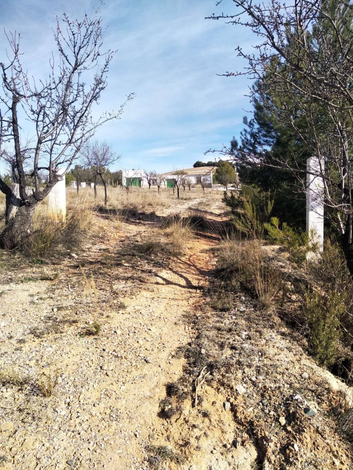 Haus und Grundstück mit viel Potenzial in Velez-Rubio mit Pool.