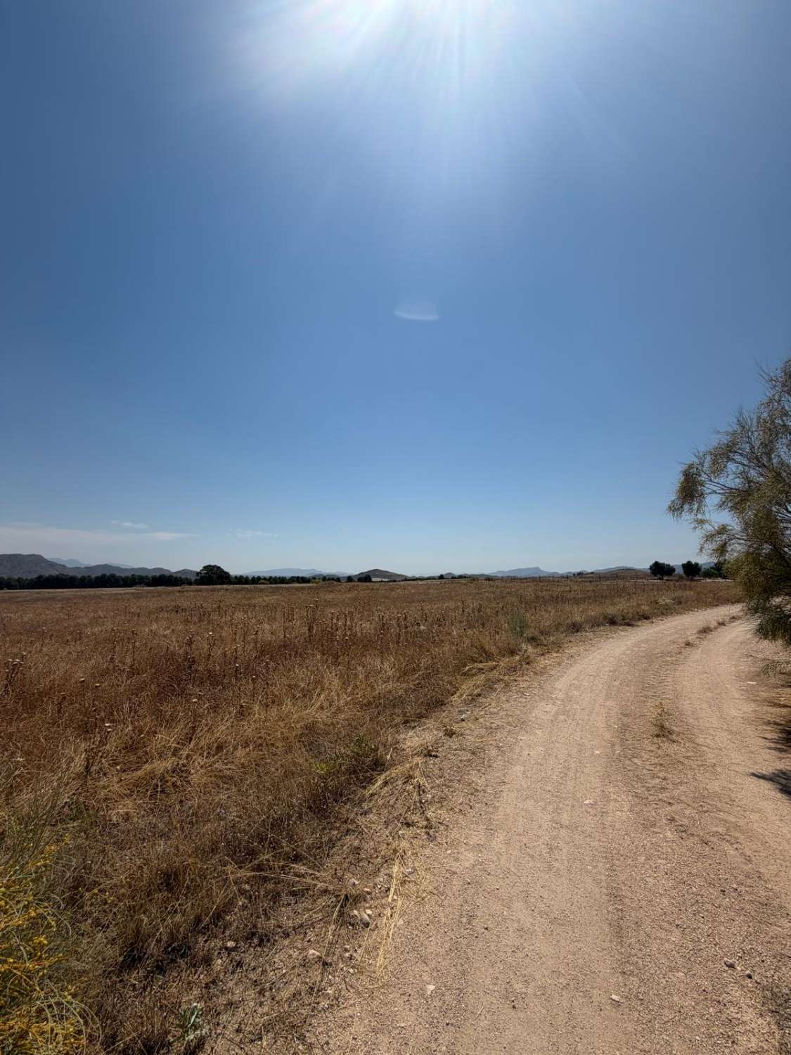 Stunning Rustic property with three houses and swimming pool in Zarcilla de Ramos (Lorca)