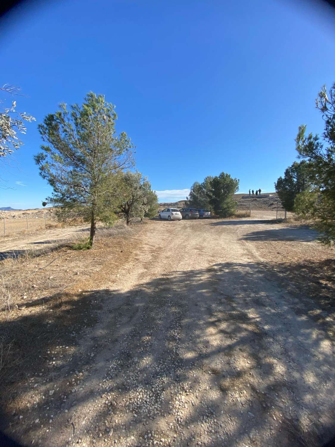 Stunning Rustic property with three houses and swimming pool in Zarcilla de Ramos (Lorca)