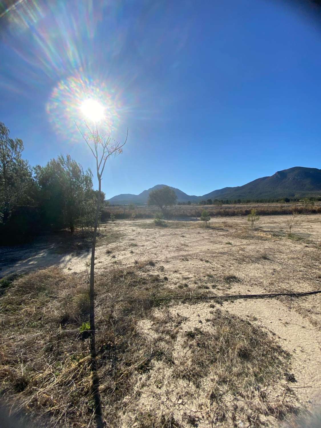 Stunning Rustic property with three houses and swimming pool in Zarcilla de Ramos (Lorca)