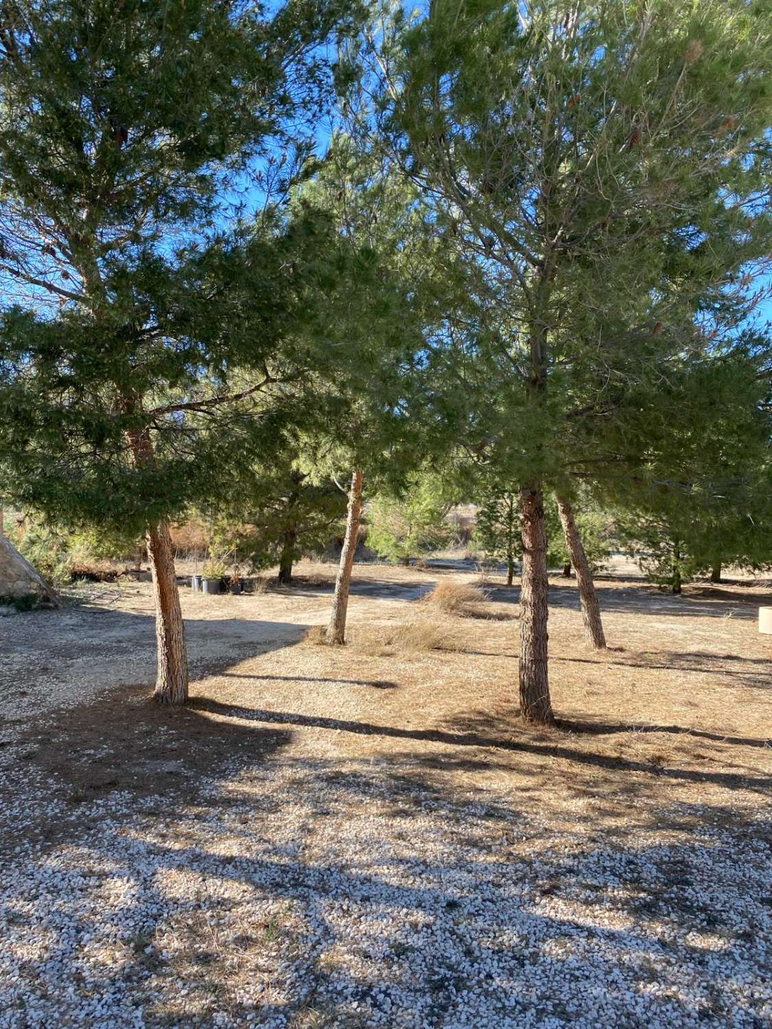 Stunning Rustic property with three houses and swimming pool in Zarcilla de Ramos (Lorca)