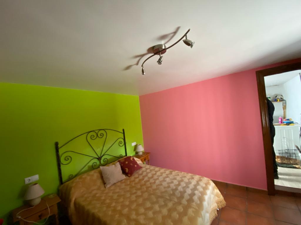 Country house with farm and 4 hectares of agricultural land in Vélez-Rubio