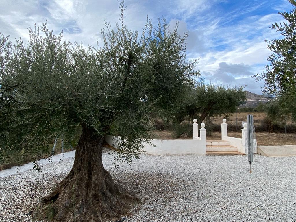 Hermosa villa de 3 dormitorios y 2 baños con piscina en un entorno encantador cerca de Vélez Blanco