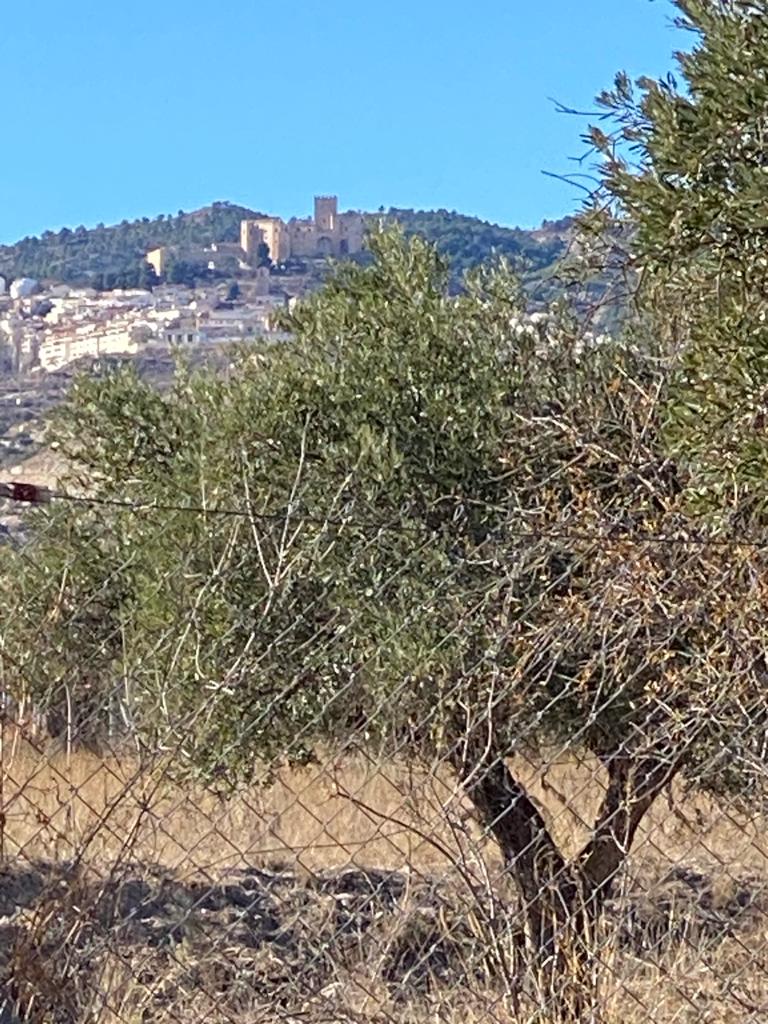 Belle villa de 3 chambres et 2 salles de bain avec piscine dans un cadre charmant près de Vélez Blanco