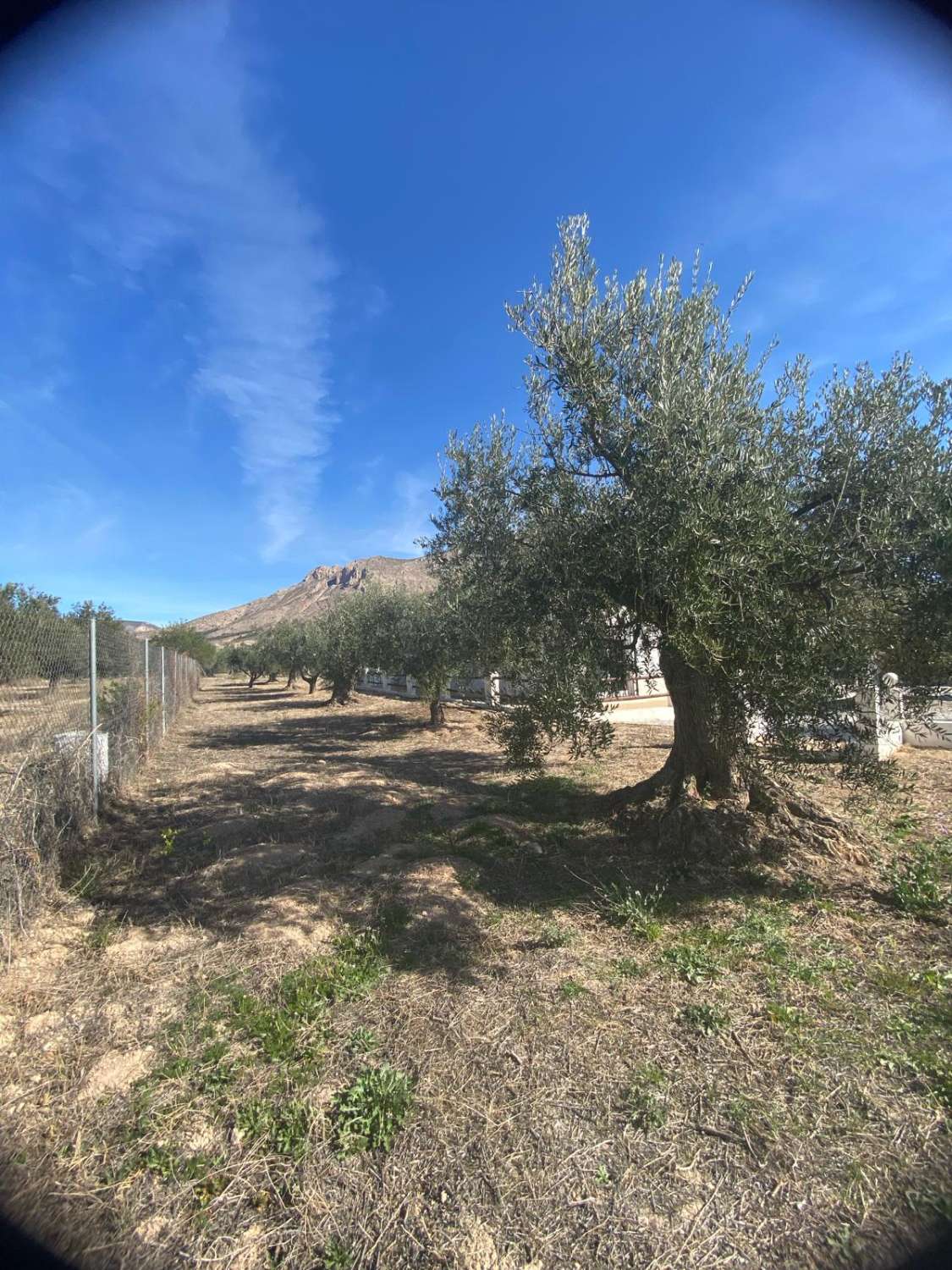 Belle villa de 3 chambres et 2 salles de bain avec piscine dans un cadre charmant près de Vélez Blanco