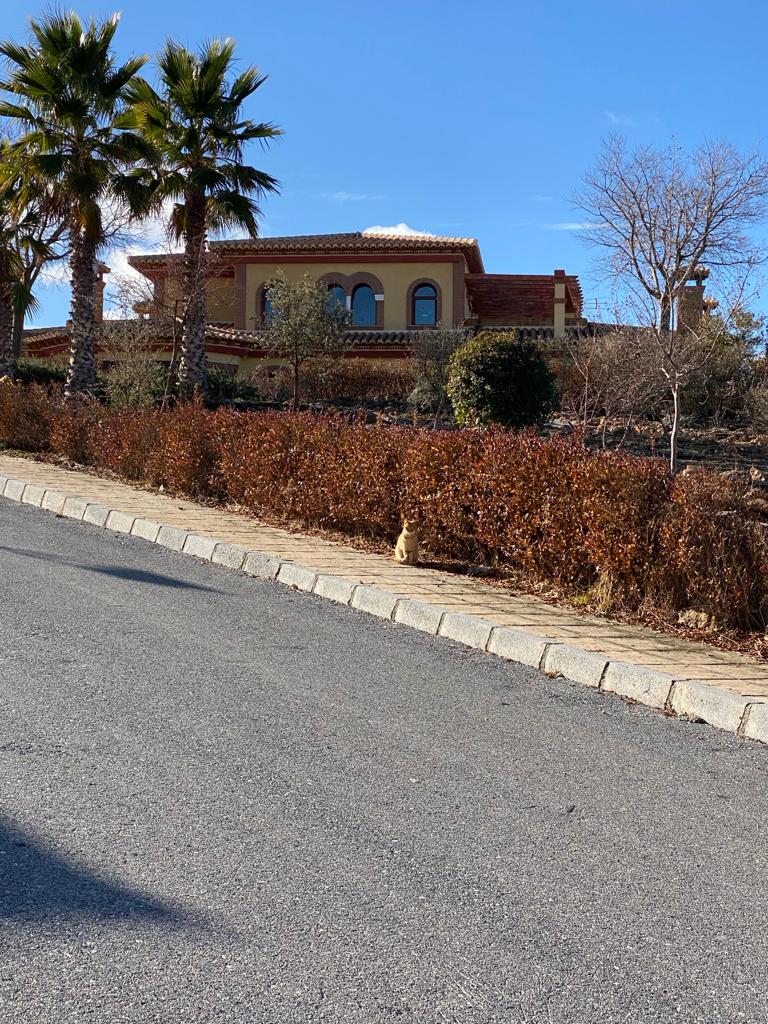 Casa de 4 dormitorios y 4 baños en Freila