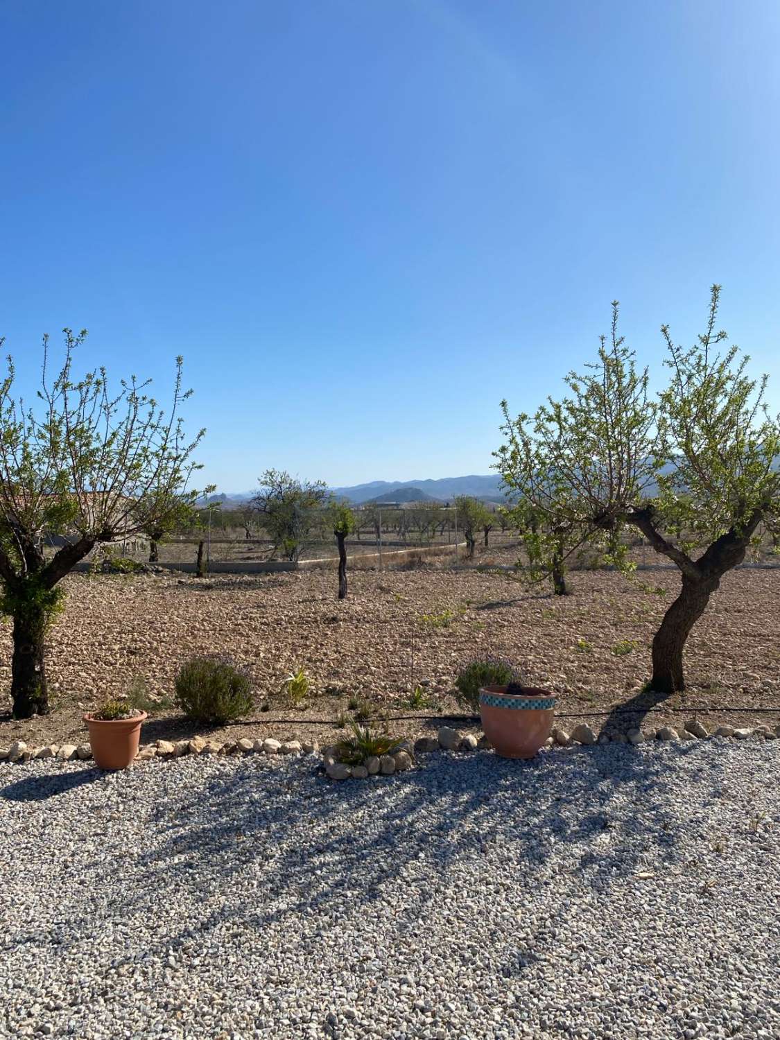 Luxusvilla mit 3 Schlafzimmern und 2 Bädern, ruhige Lage in Velez Blanco