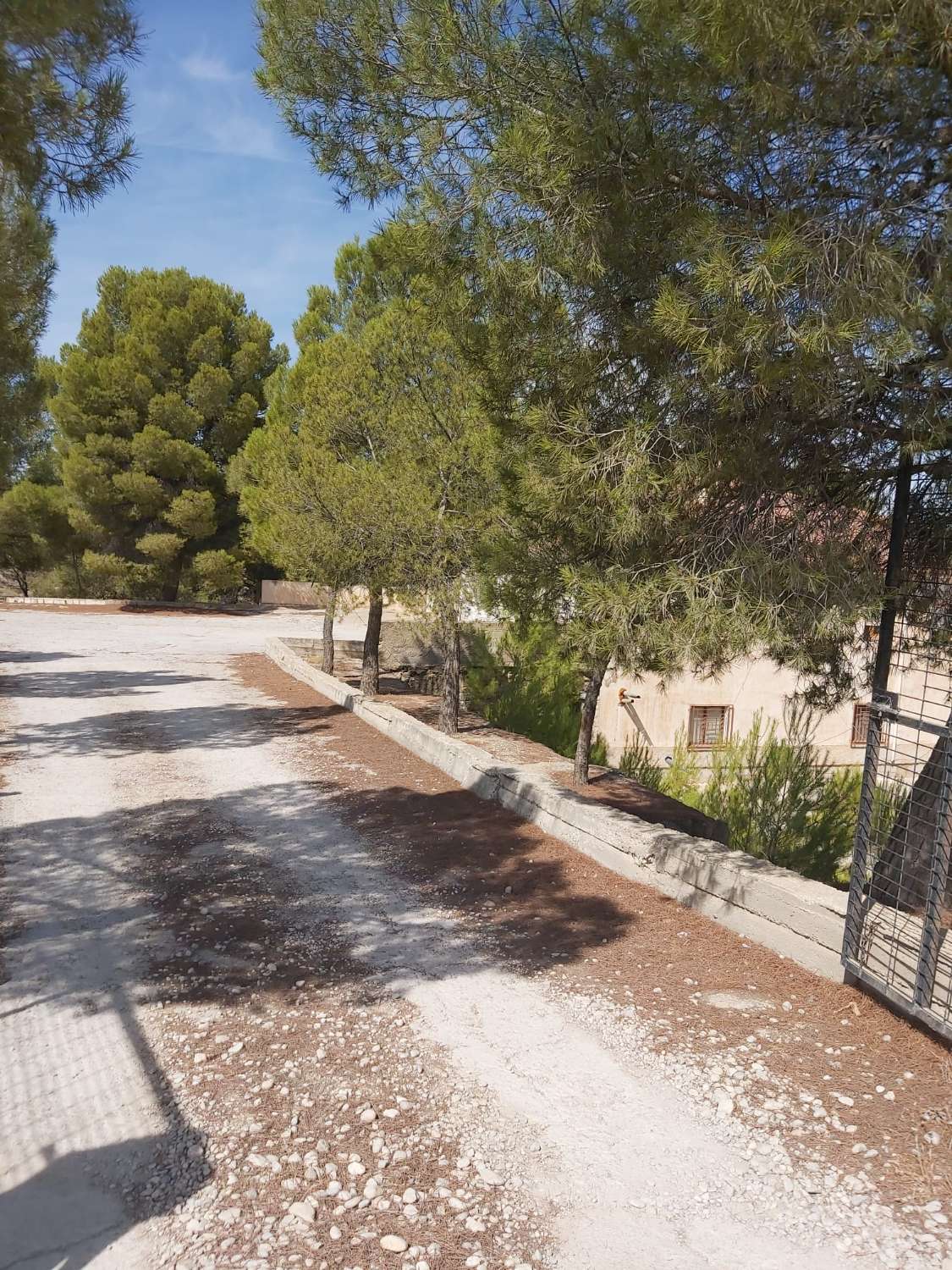 Luxury 10 bed, 2 bath house in Benamaurel