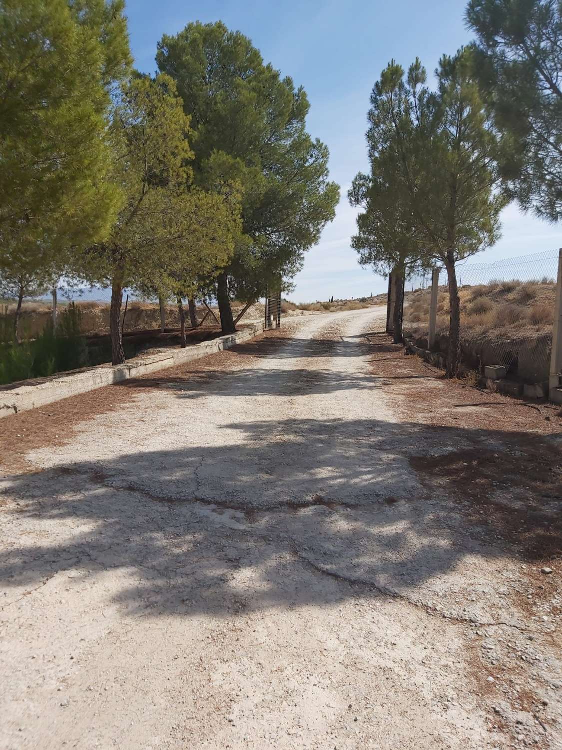 Luxury 10 bed, 2 bath house in Benamaurel
