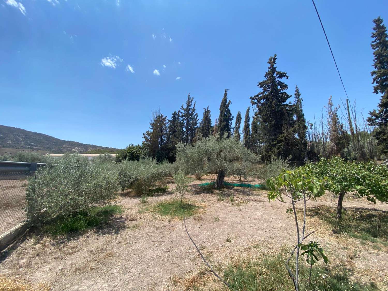 Grand terrain urbain prêt à être réaménagé à Lorca
