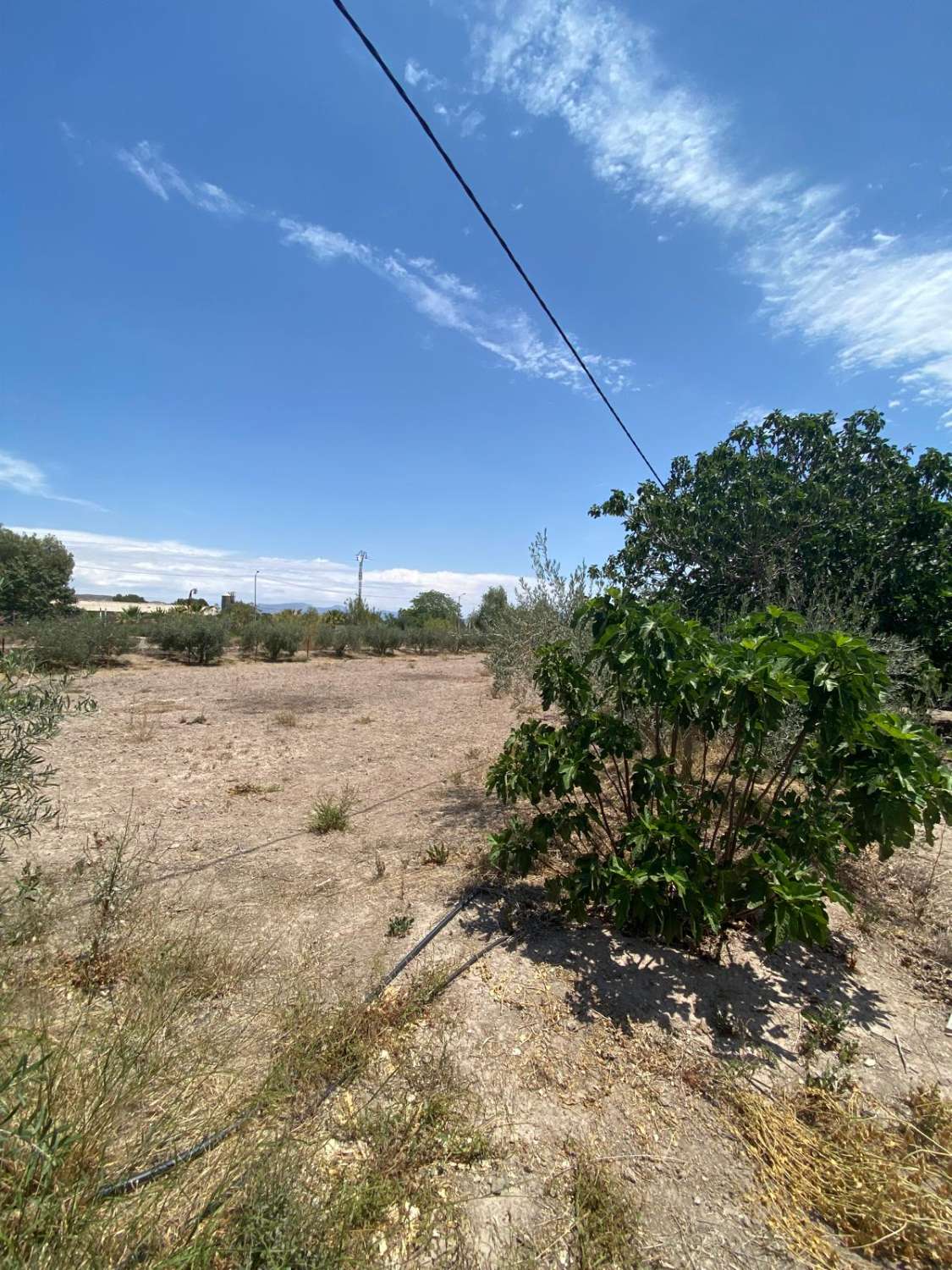 Grand terrain urbain prêt à être réaménagé à Lorca
