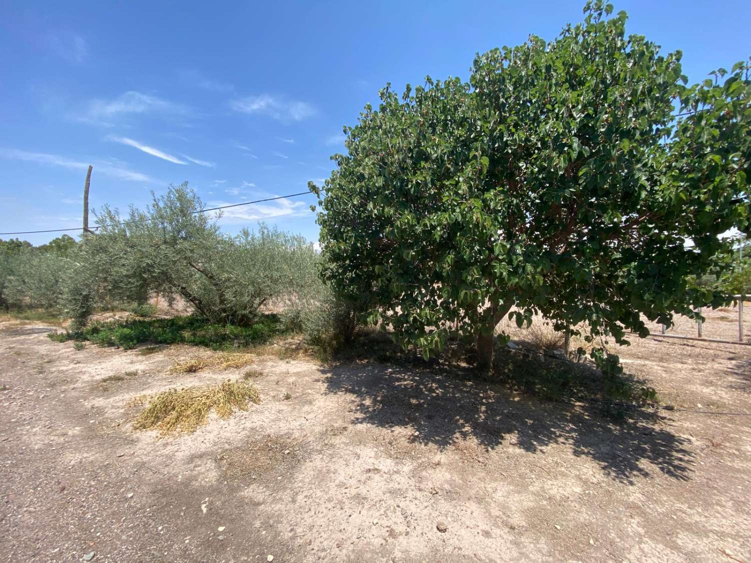 Grand terrain urbain prêt à être réaménagé à Lorca