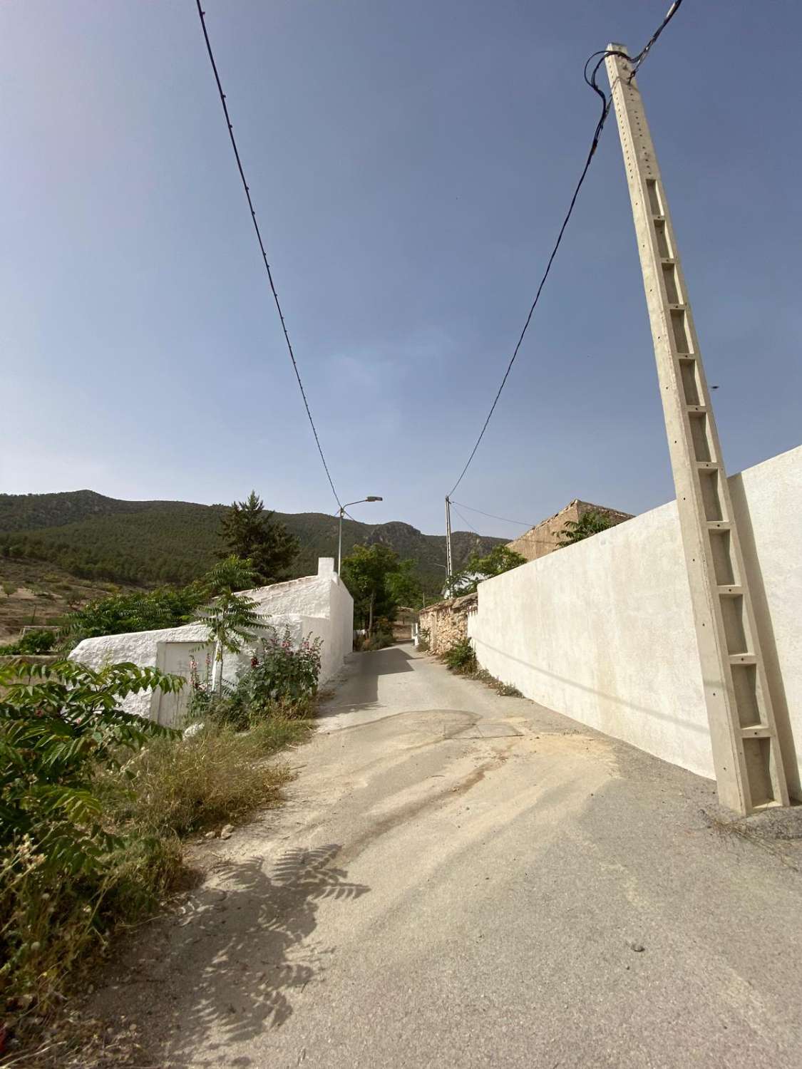 Estate with Cortijo and 4,000m2 Land Velez Rubio