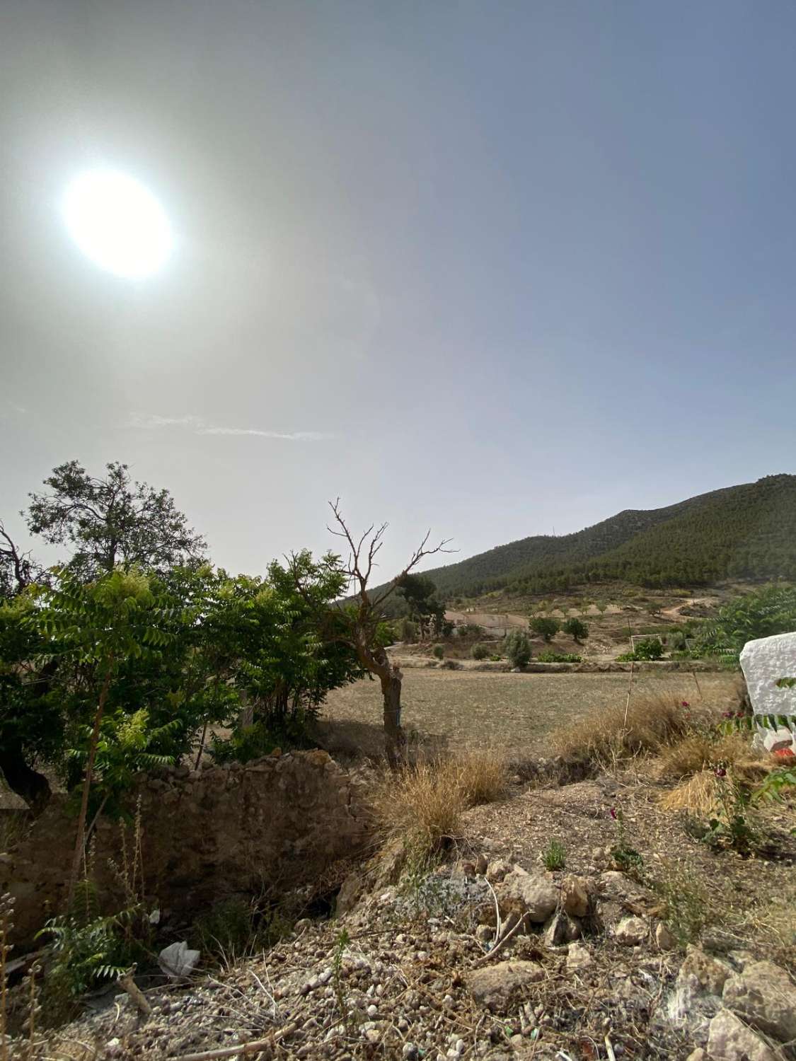 Estate with Cortijo and 4,000m2 Land Velez Rubio