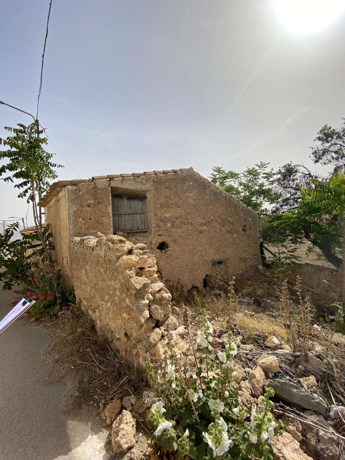 Estate with Cortijo and 4,000m2 Land Velez Rubio