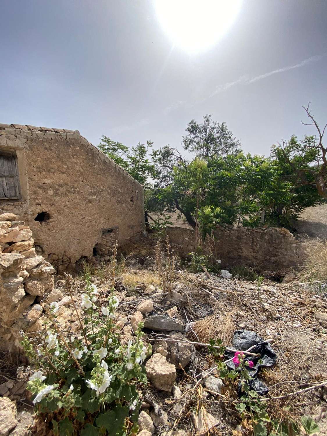 Estate with Cortijo and 4,000m2 Land Velez Rubio