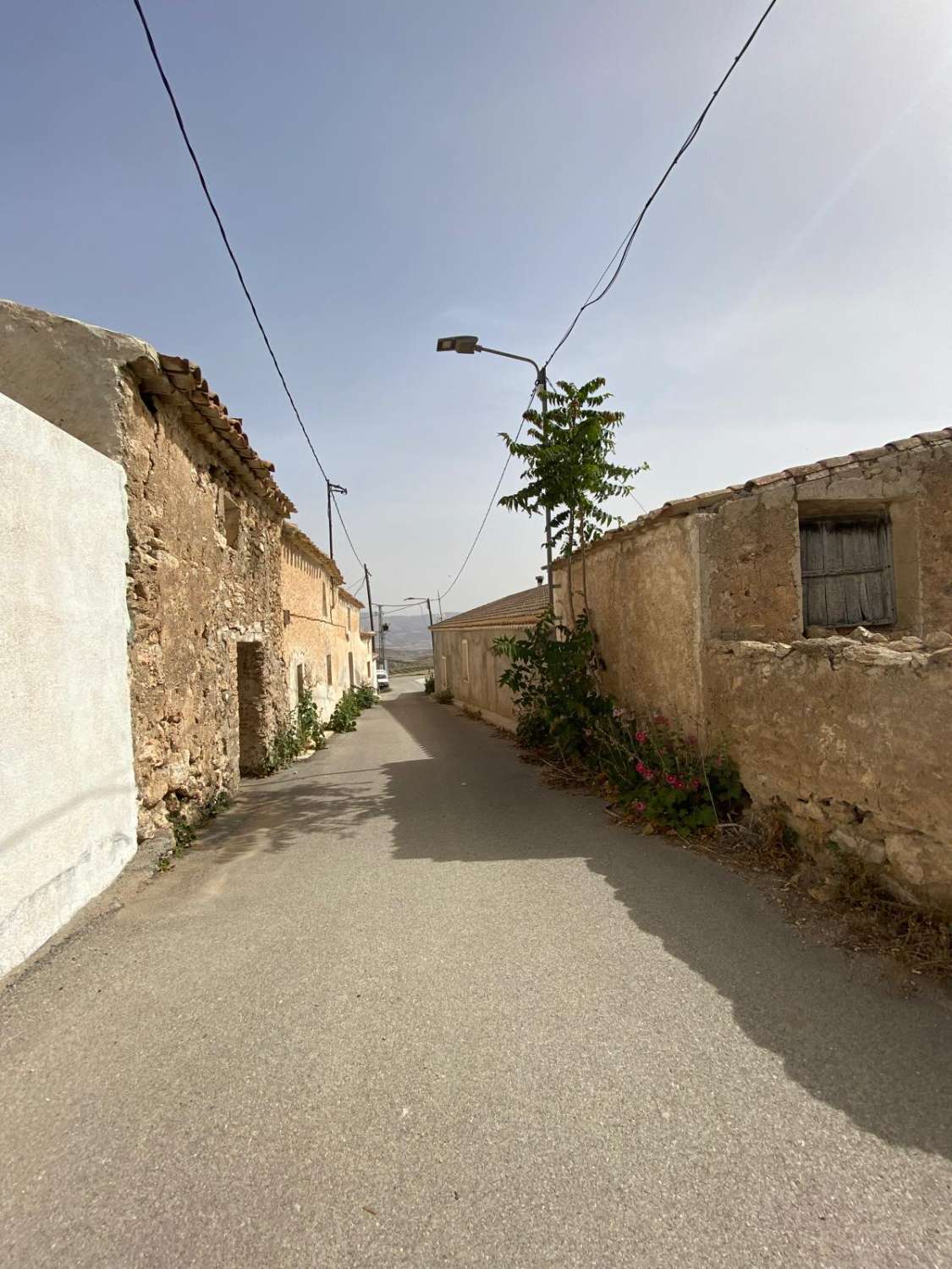 Estate with Cortijo and 4,000m2 Land Velez Rubio