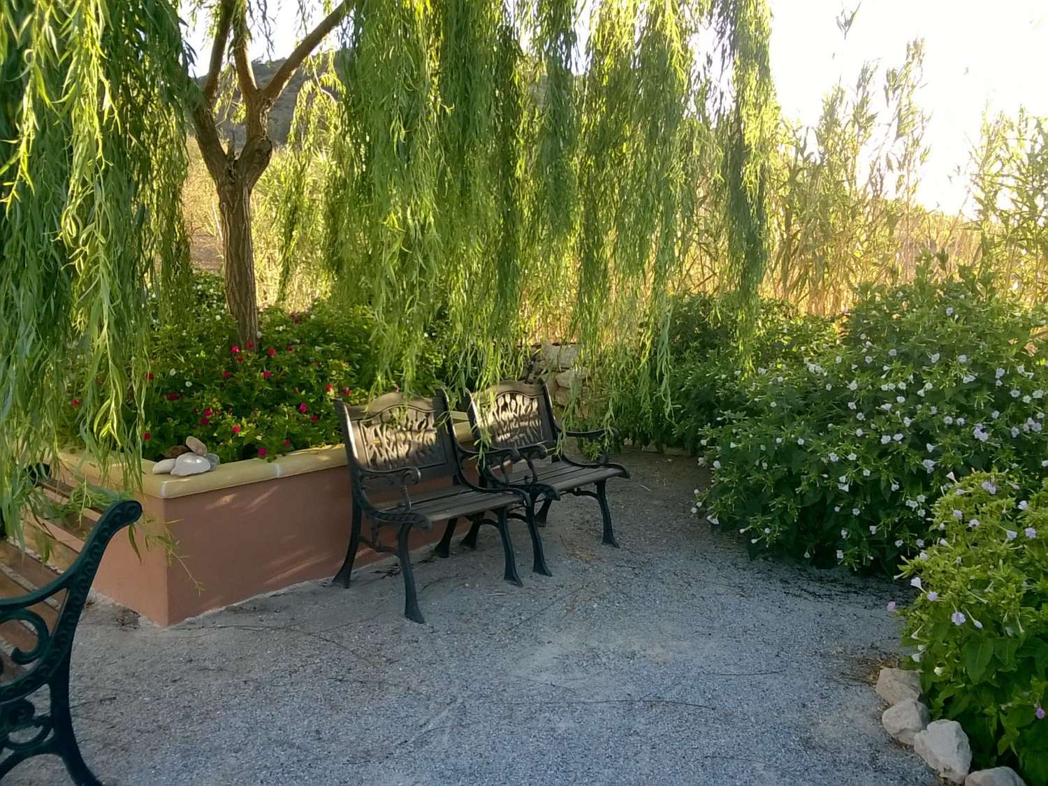 Large and beautifully renovated farmhouse with separate apartment and land near Velez-Rubio