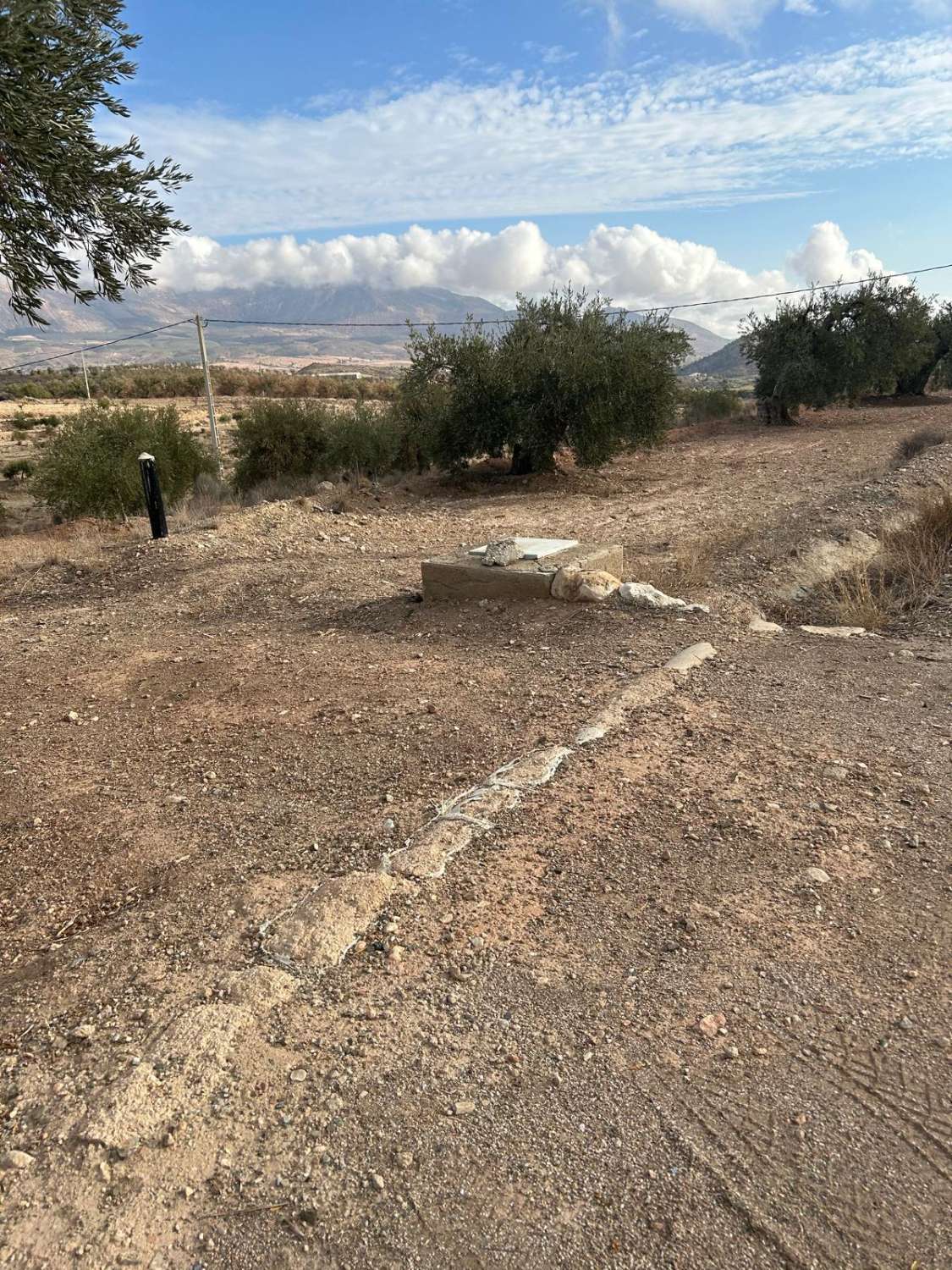 Large rural land in Vélez-Blanco