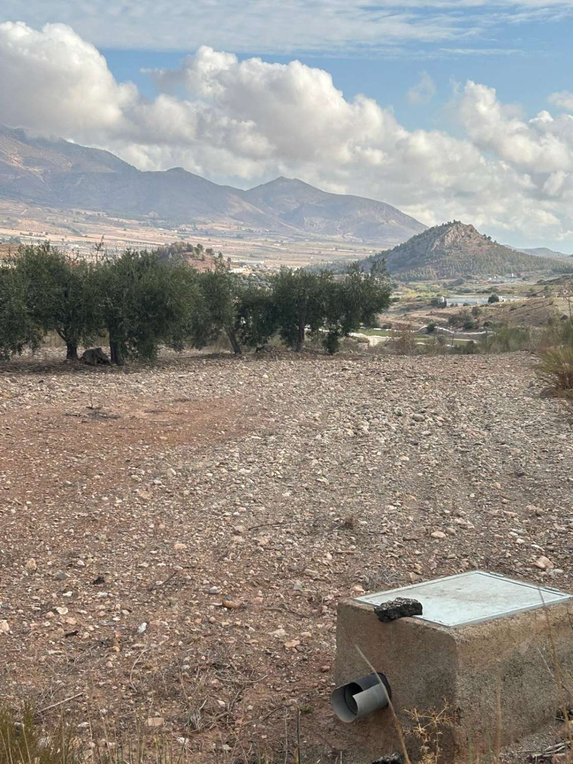 Large rural land in Vélez-Blanco