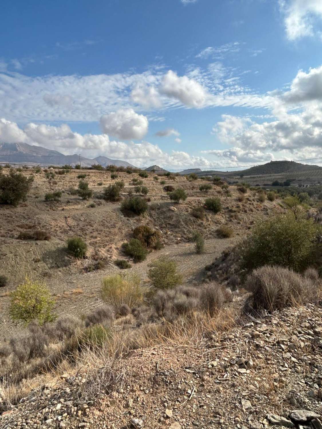 Large rural land in Vélez-Blanco
