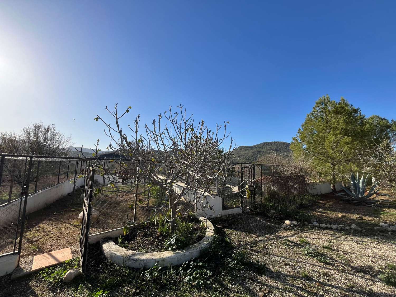 Impresionante villa con piscina y fantásticas vistas en Vélez-Rubio
