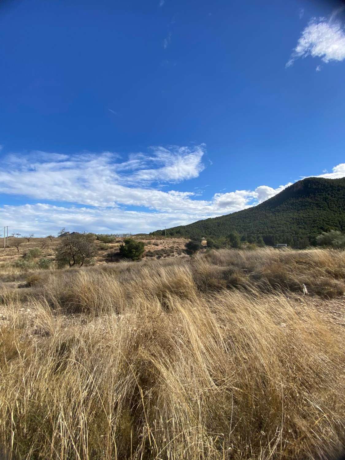 Boerderij met 3 hectare grond op 7 km van Vélez Rubio met fantastisch uitzicht