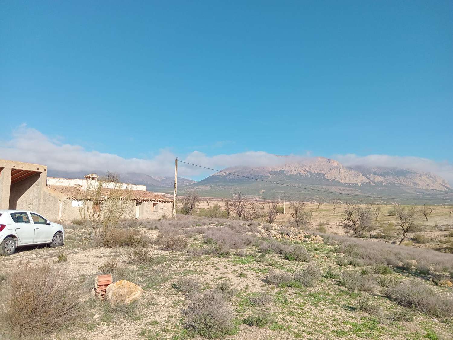 Finca con terreno de 3 hectáreas a 7km de Vélez Rubio