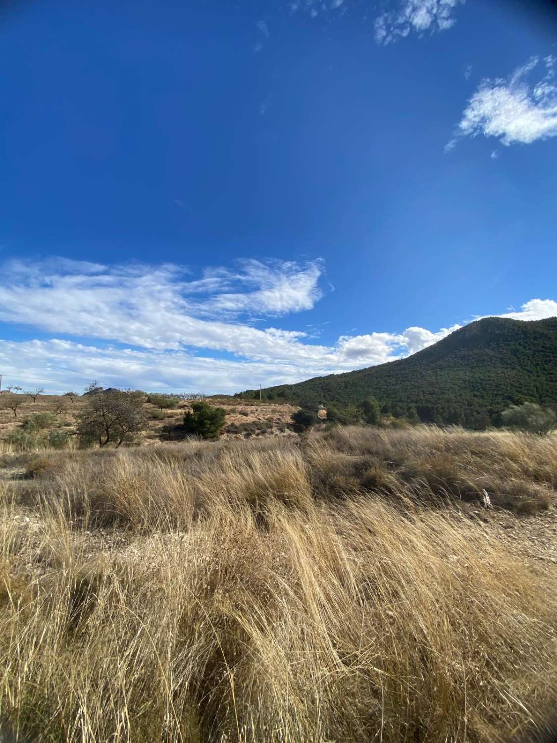 Boerderij met 3 hectare grond op 7 km van Vélez Rubio met fantastisch uitzicht